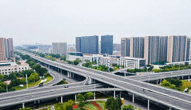 企业咨询：选择依据与实际取舍的对比分析